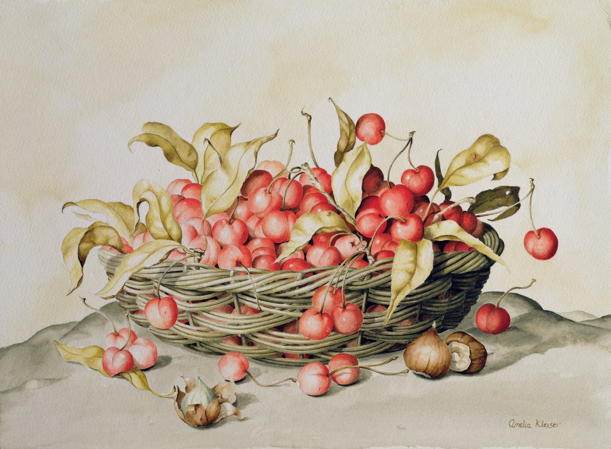 Cesta de cerejas, 1998 (wc no papel) de Amelia Kleiser