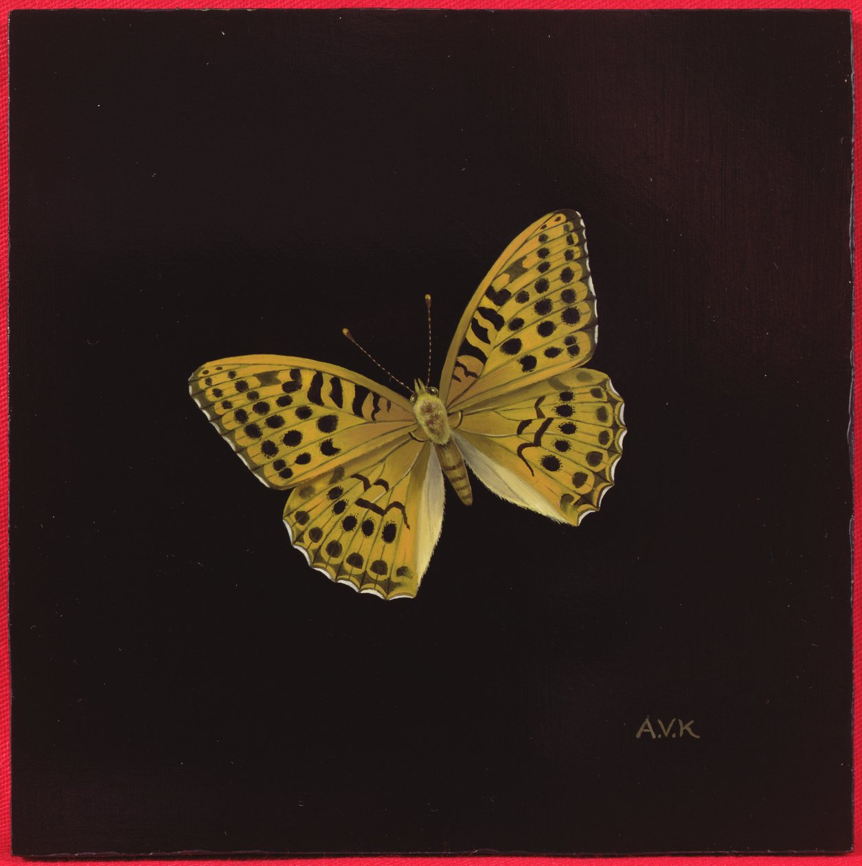 Borboleta fritilária lavada de prata, 2000 de Amelia Kleiser