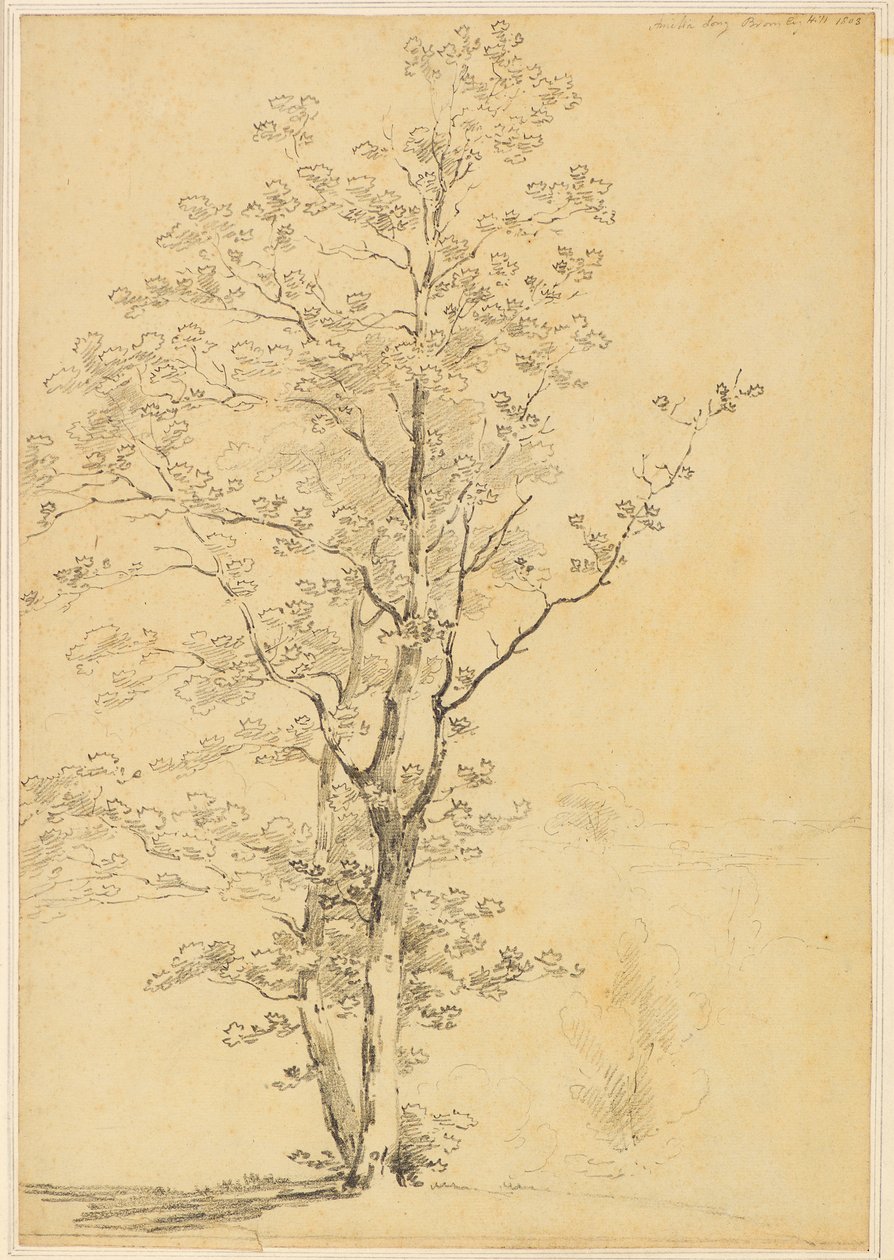 Monte Bromley de Amelia Long