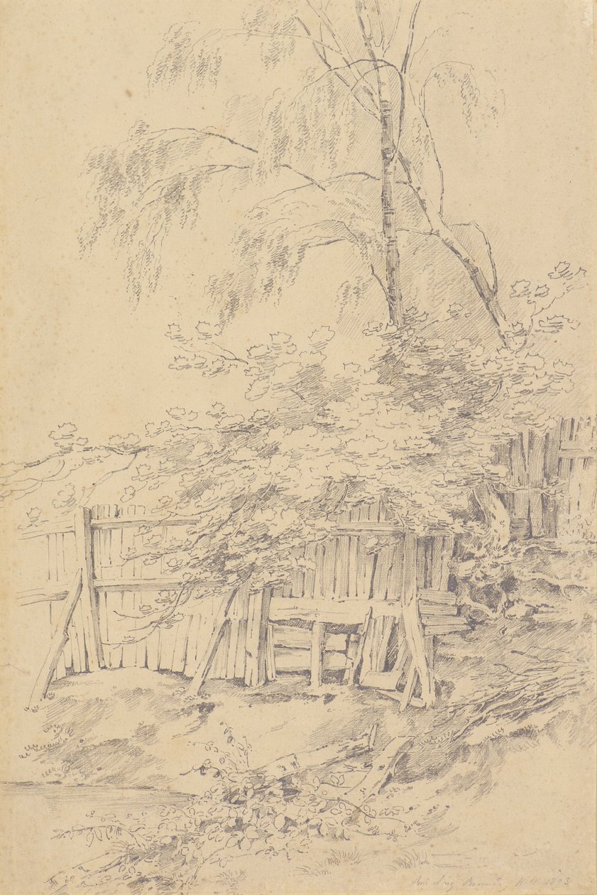 Bromley Hill de Amelia Long