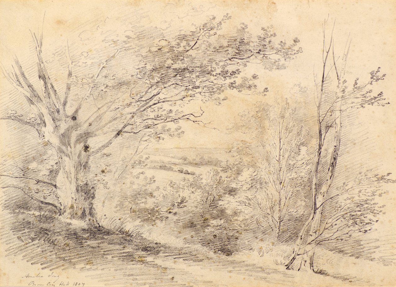 Bromley Hill de Amelia Long