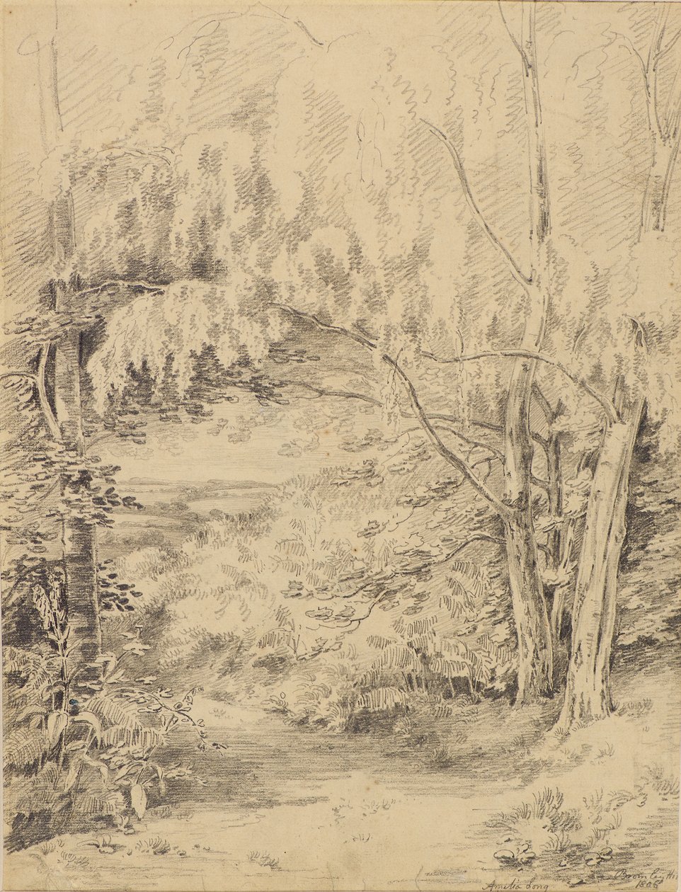 Bromley Hill de Amelia Long