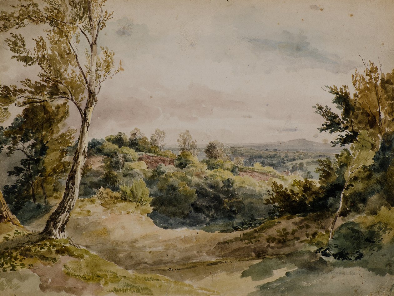 De Bromley de Amelia Long