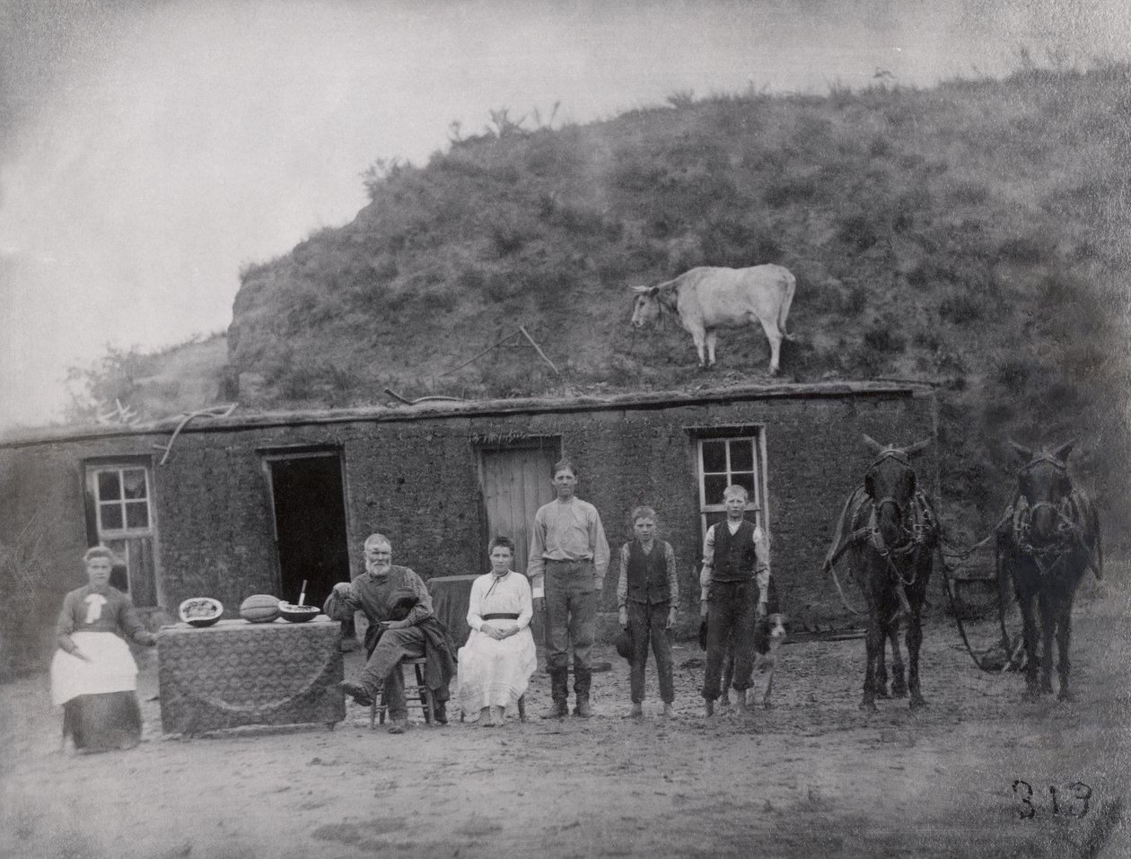 Família pioneira americana na frente de sua casa de American Photographer