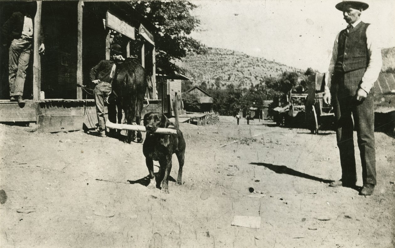 Butch Cassidy (1886-1908) de American Photographer
