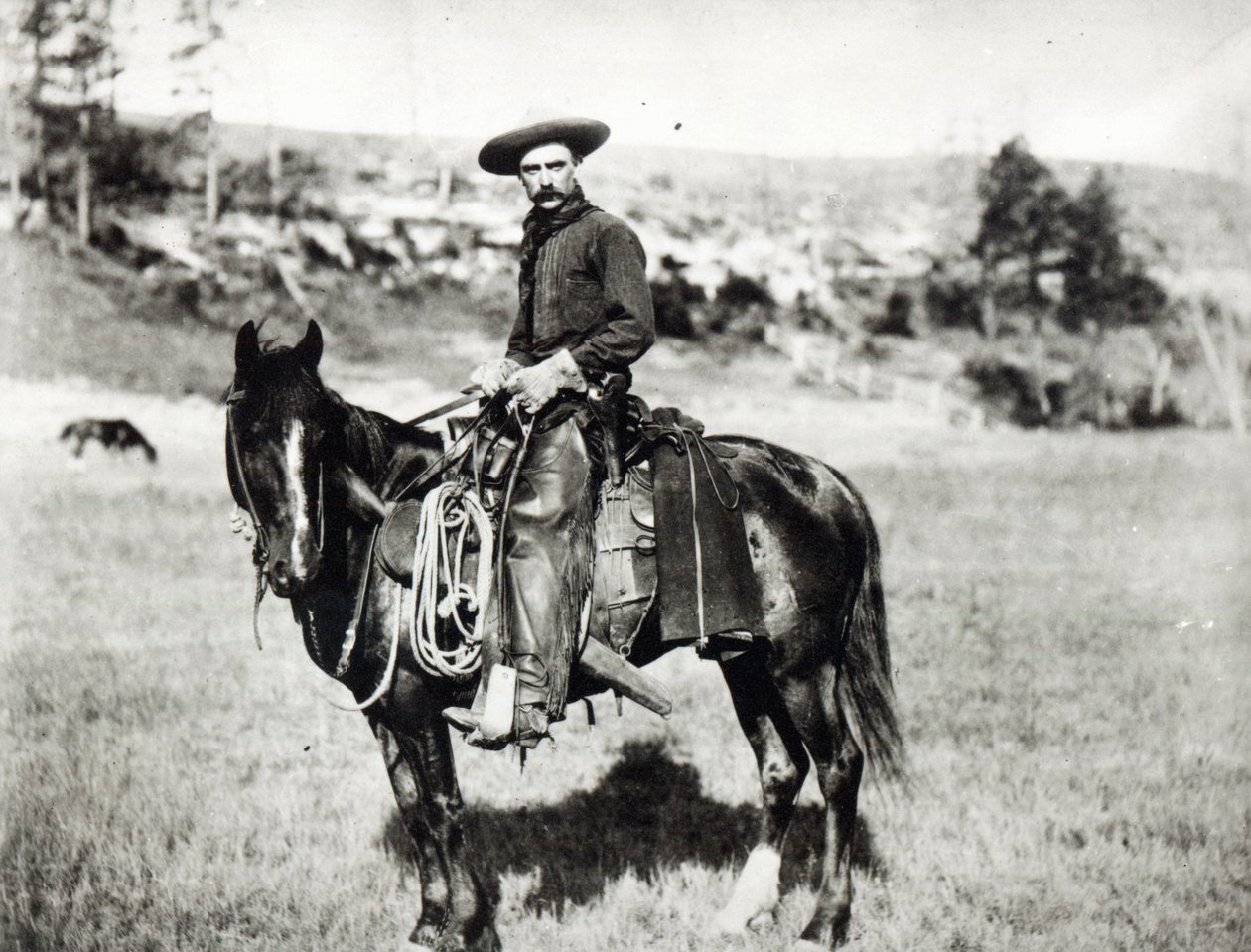 Cowboy montando um cavalo em Montana, EUA, c. 1880 de American Photographer
