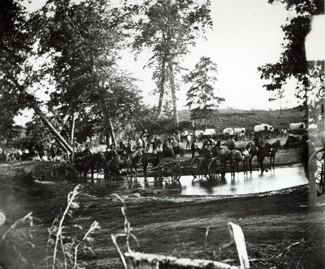 Bateria federal que adestra um tributário do rio Rappahannock no dia da batalha, Cedar Mountain, Virgínia, 9 de agosto de 1862 de American Photographer