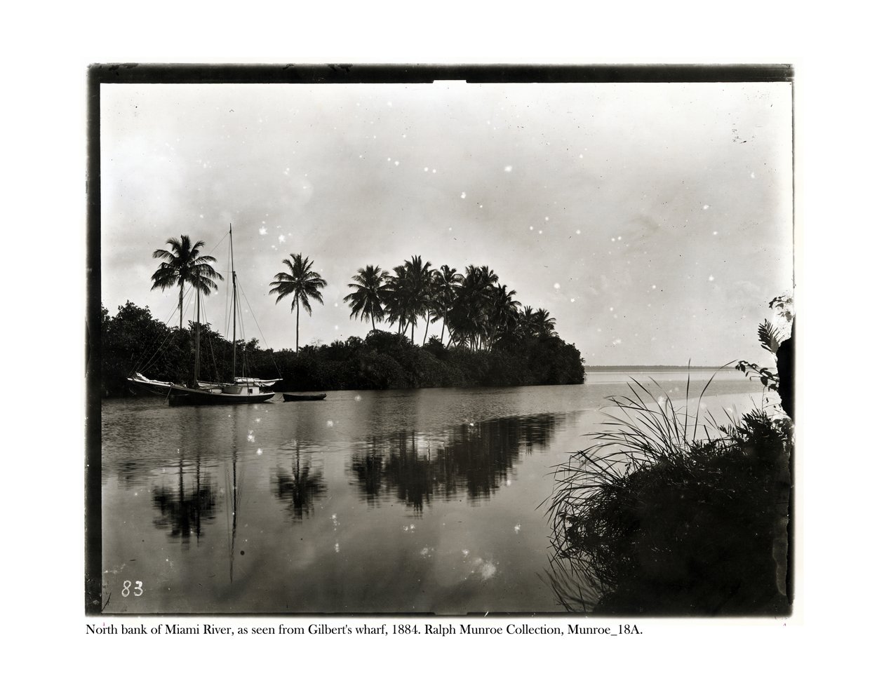 Margem norte, de, a, rio miami, como, visto, de, cais ghilberts, 1884 de American Photographer