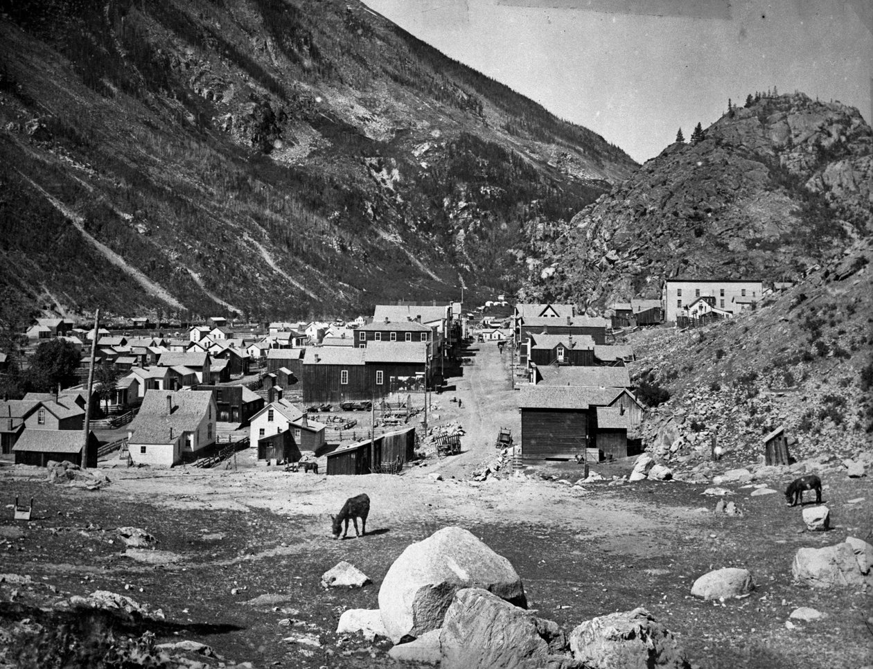 Silver Plume - antes do incêndio de 5 de novembro de 1884, c.1880-84 de American Photographer
