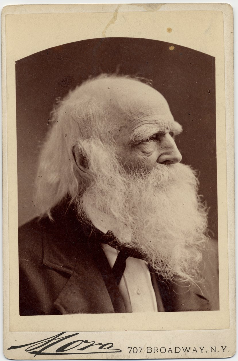 William Cullen Bryant (1794-1878), poeta americano, foto de Albert J Mora, Nova York (foto do álbum) de American Photographer