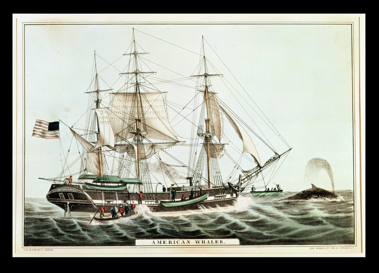 Baleia americana, gravada por Nathaniel Currier (1813-88) de American School