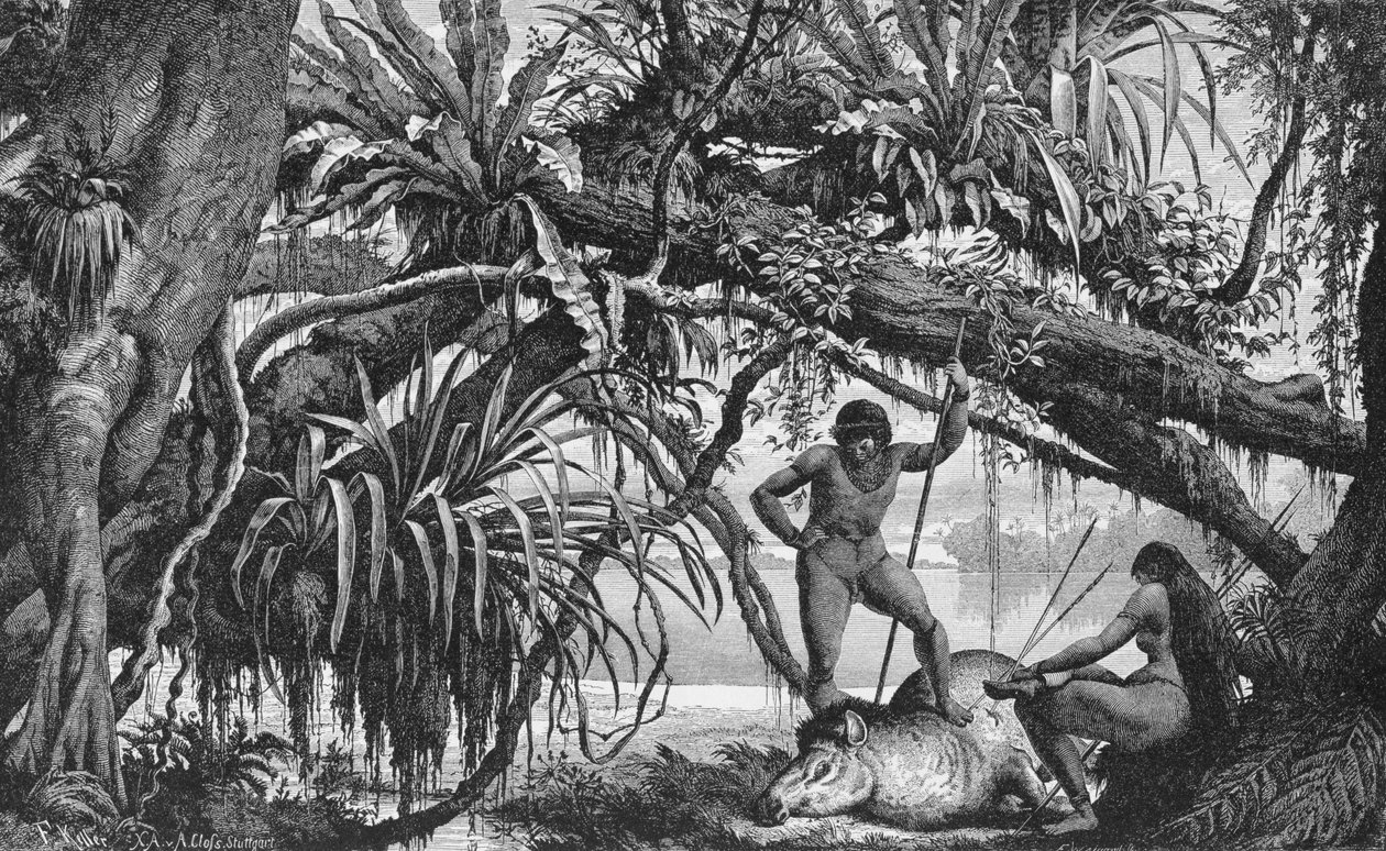 Índios Caripuna com anta, dos rios Amazonas e Madeira, de Franz Keller, 1874 de American School