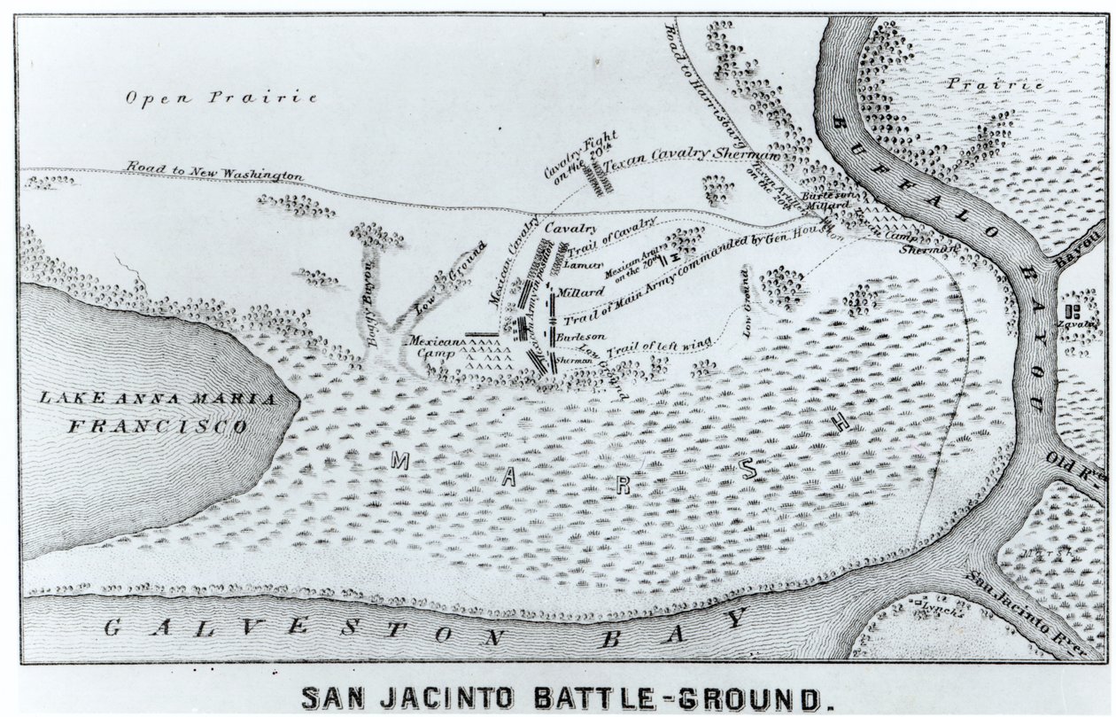 Plano Terrestre da Batalha de San Jacinto de American School