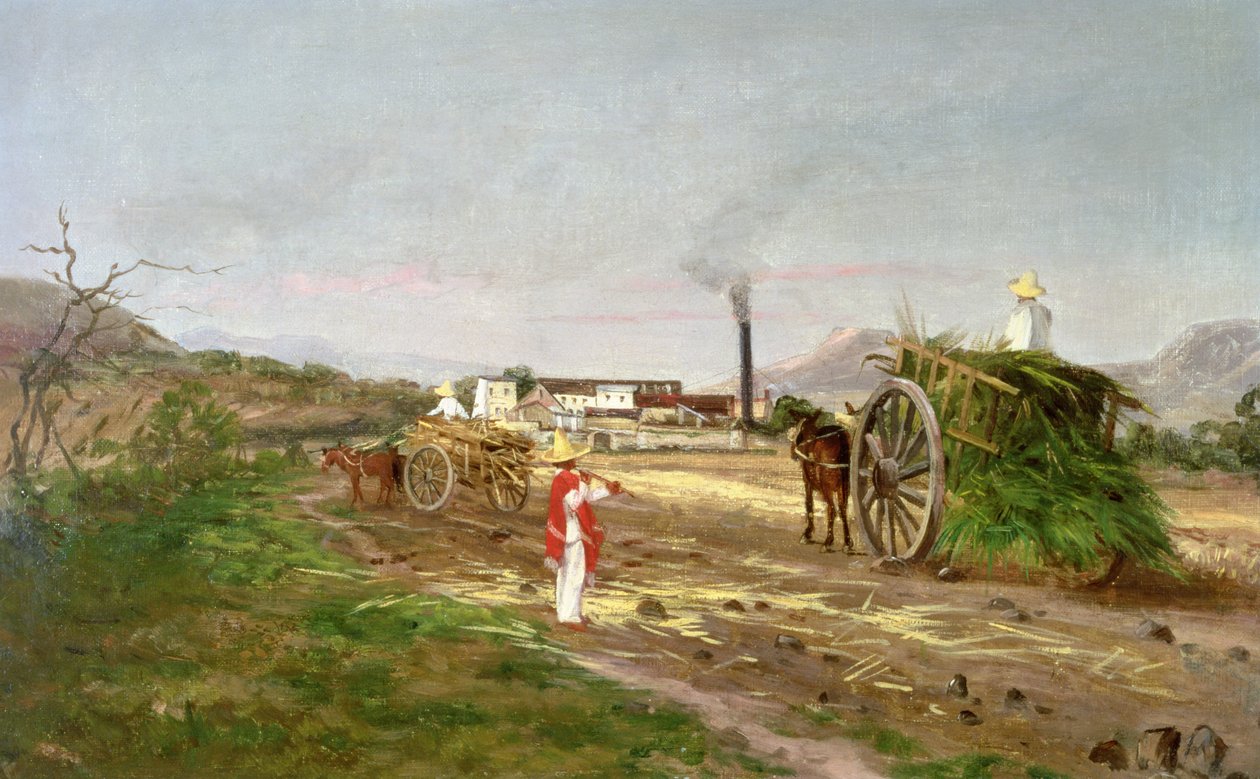 Camponeses que coletam cana-de-açúcar, América Central, c.1840 de American School