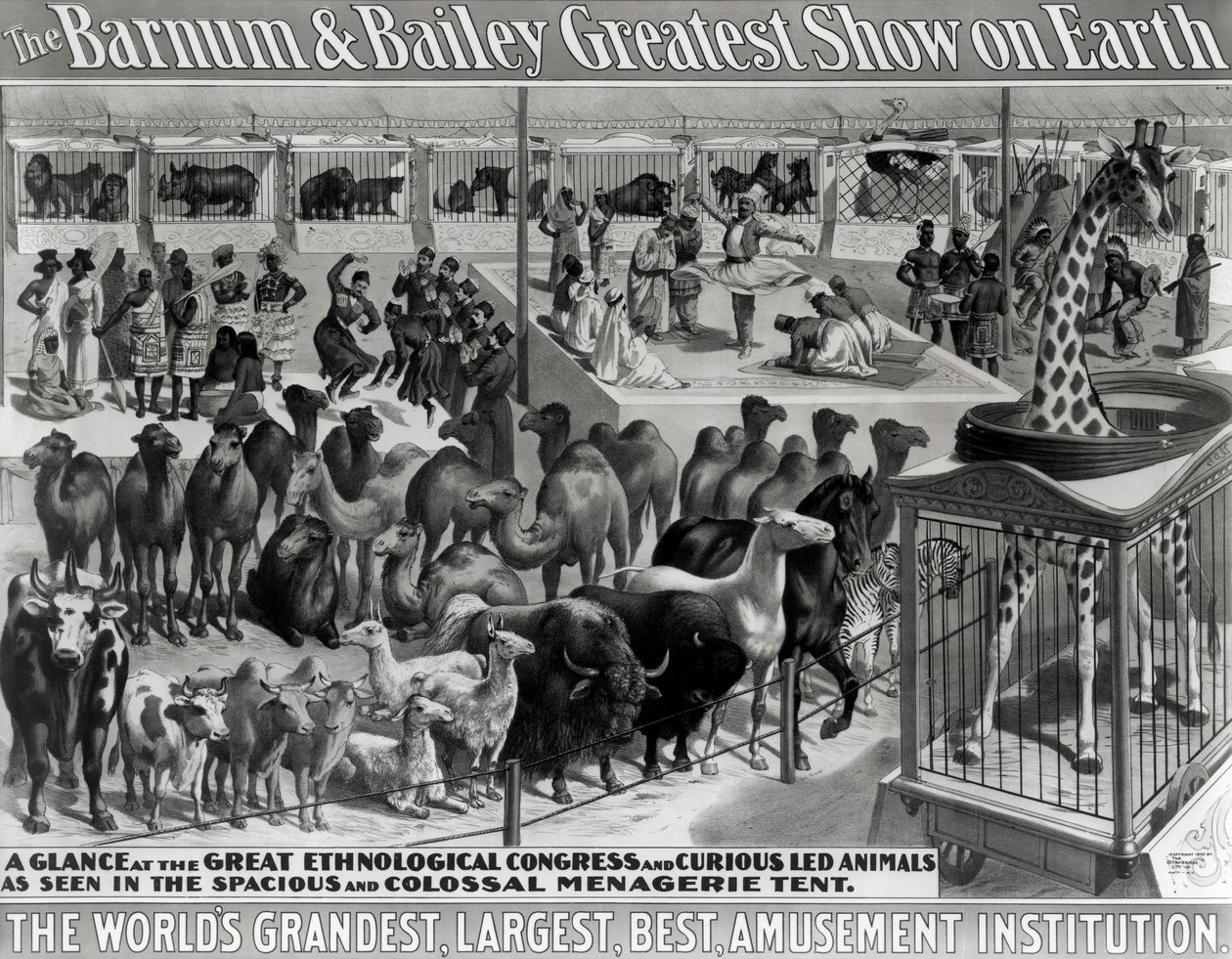 Propaganda de cartazes, &39;O maior show de Barnum e Bailey na Terra, a maior e melhor instituição de diversões do mundo&39;, c.1895 de American School