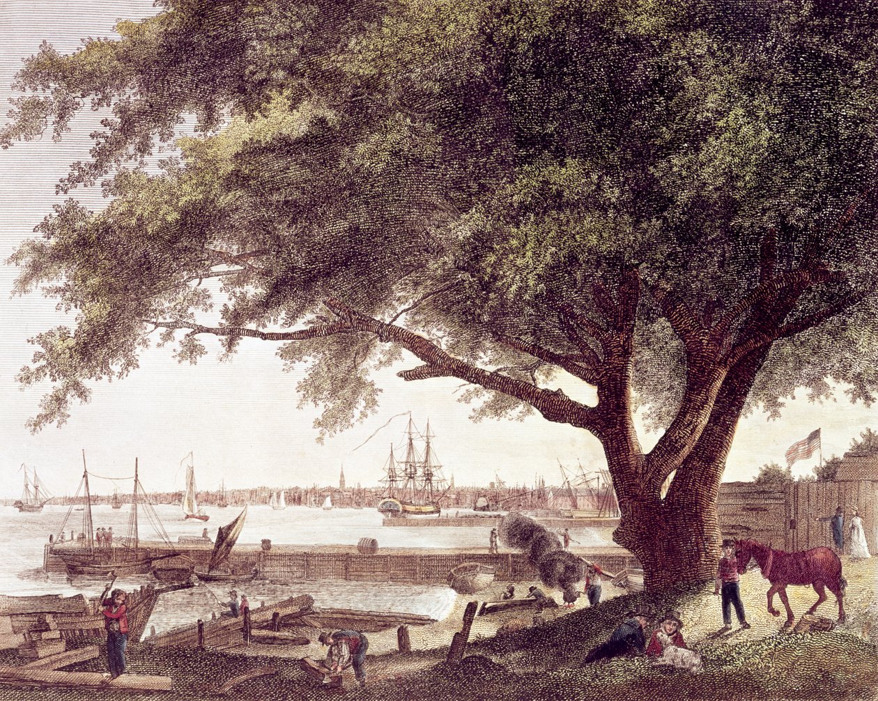 A cidade e o porto de Filadélfia, no rio Delaware, a partir de Kensington, 1800 de American School