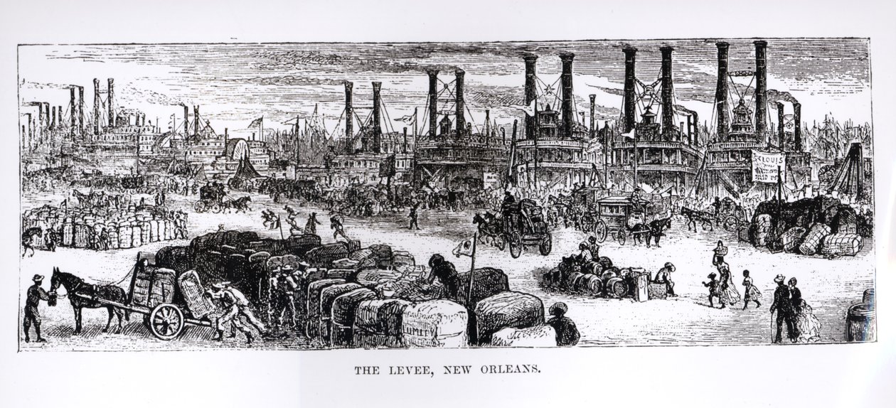 The Levee, Nova Orleans de American School
