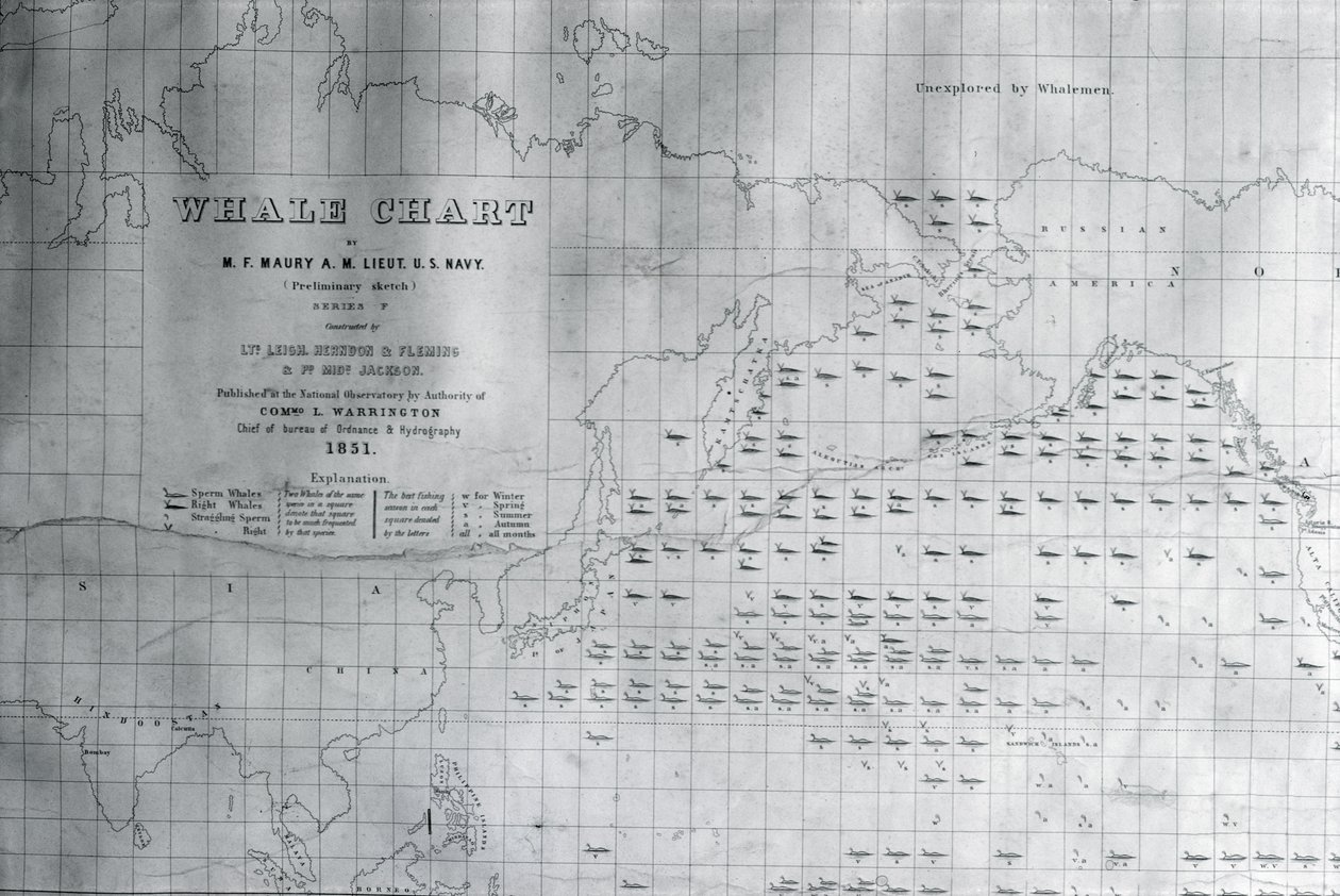 Carta de Baleia do Pacífico Norte, 1851 de American School