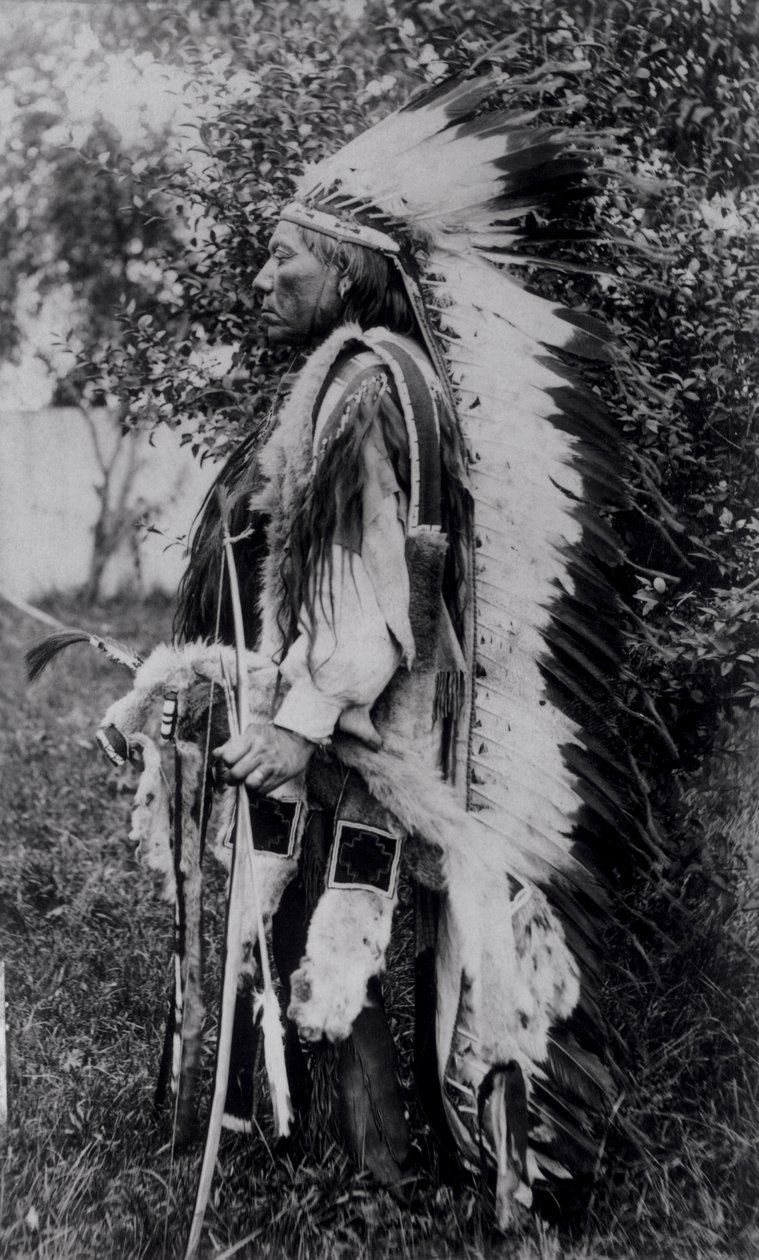 Lobo Branco, um Chefe Comanche, c.1891-98 de American School