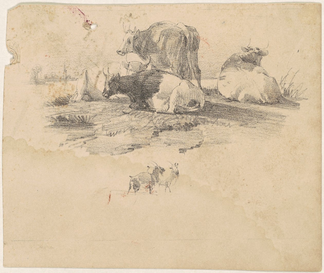 Rebanho de gado de American 19th Century