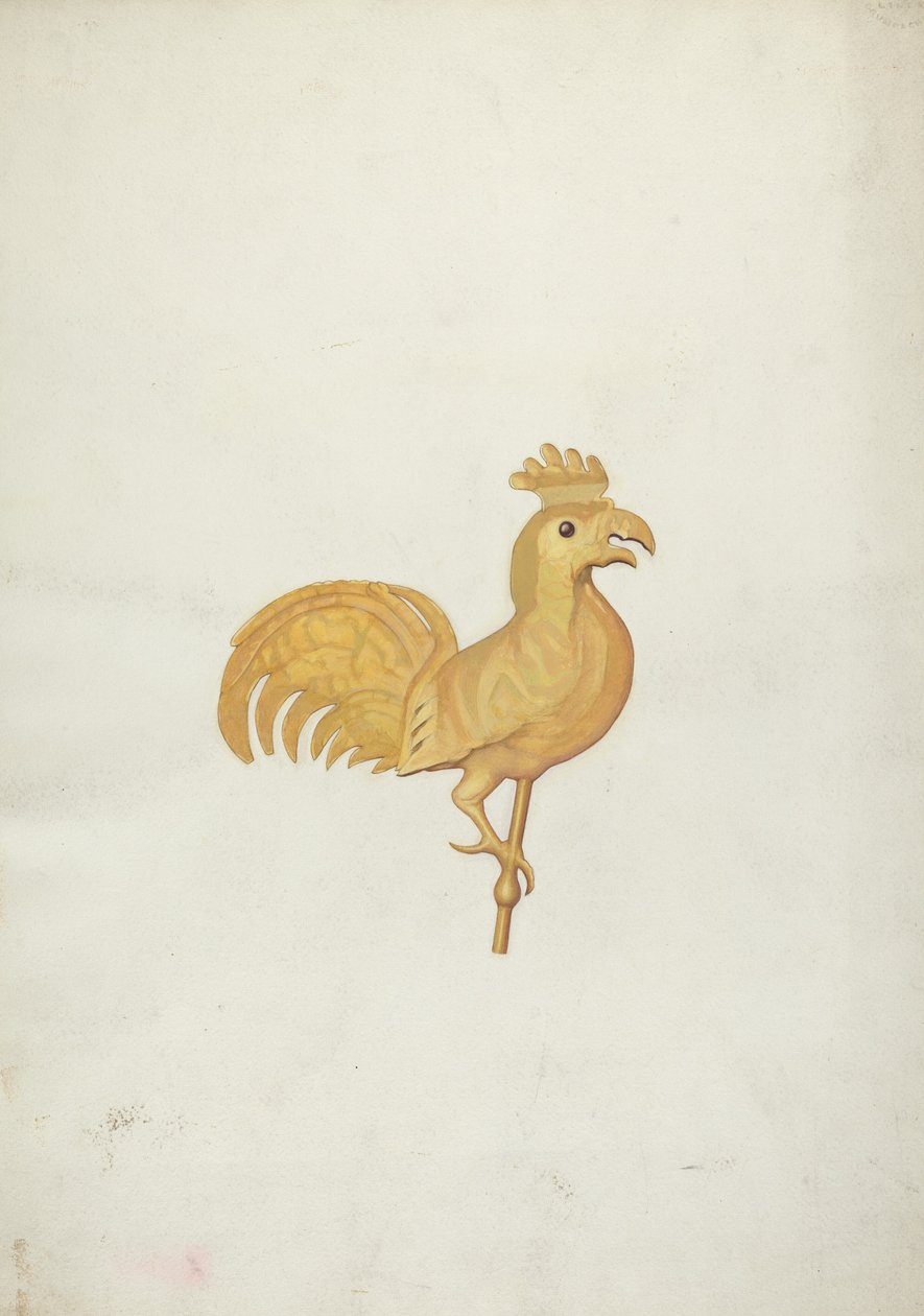 Cata-vento Galo de American 20th Century
