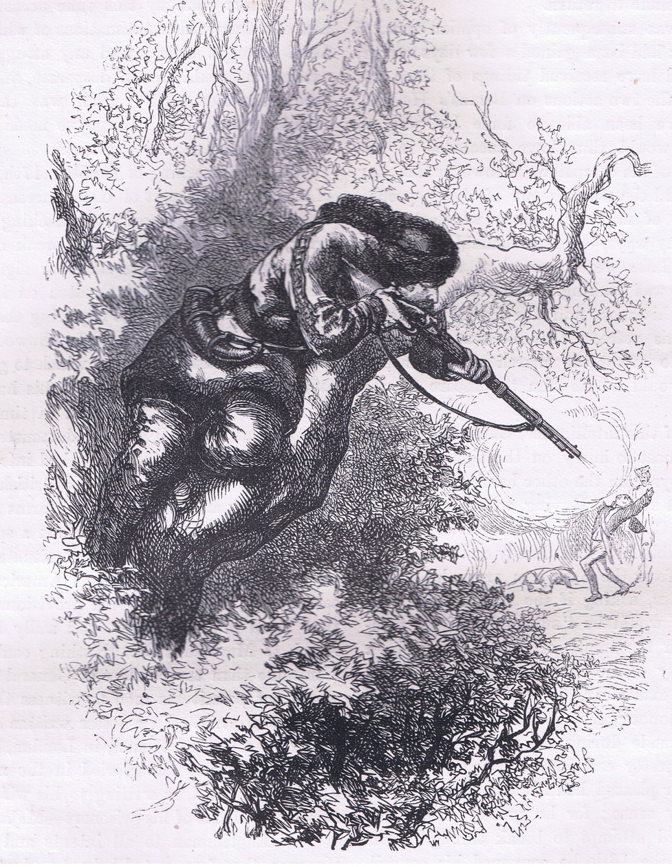 Atirador americano numa árvore, ilustração de Cassell History of the United States publicada por Cassell, Petter & Galpin, c.1900 (litho) de American English school