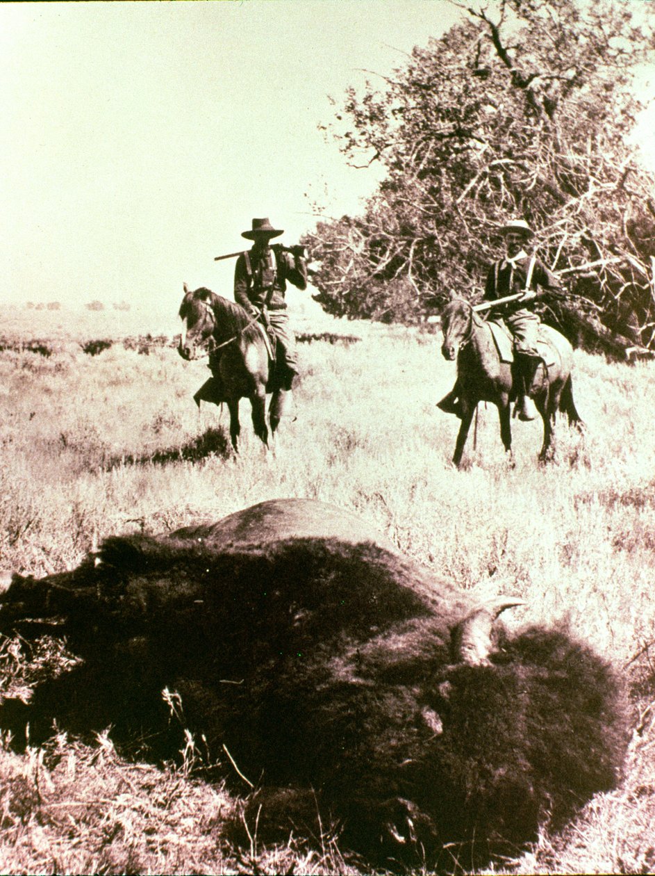 Caçadores de bisonte americano de American Photographer