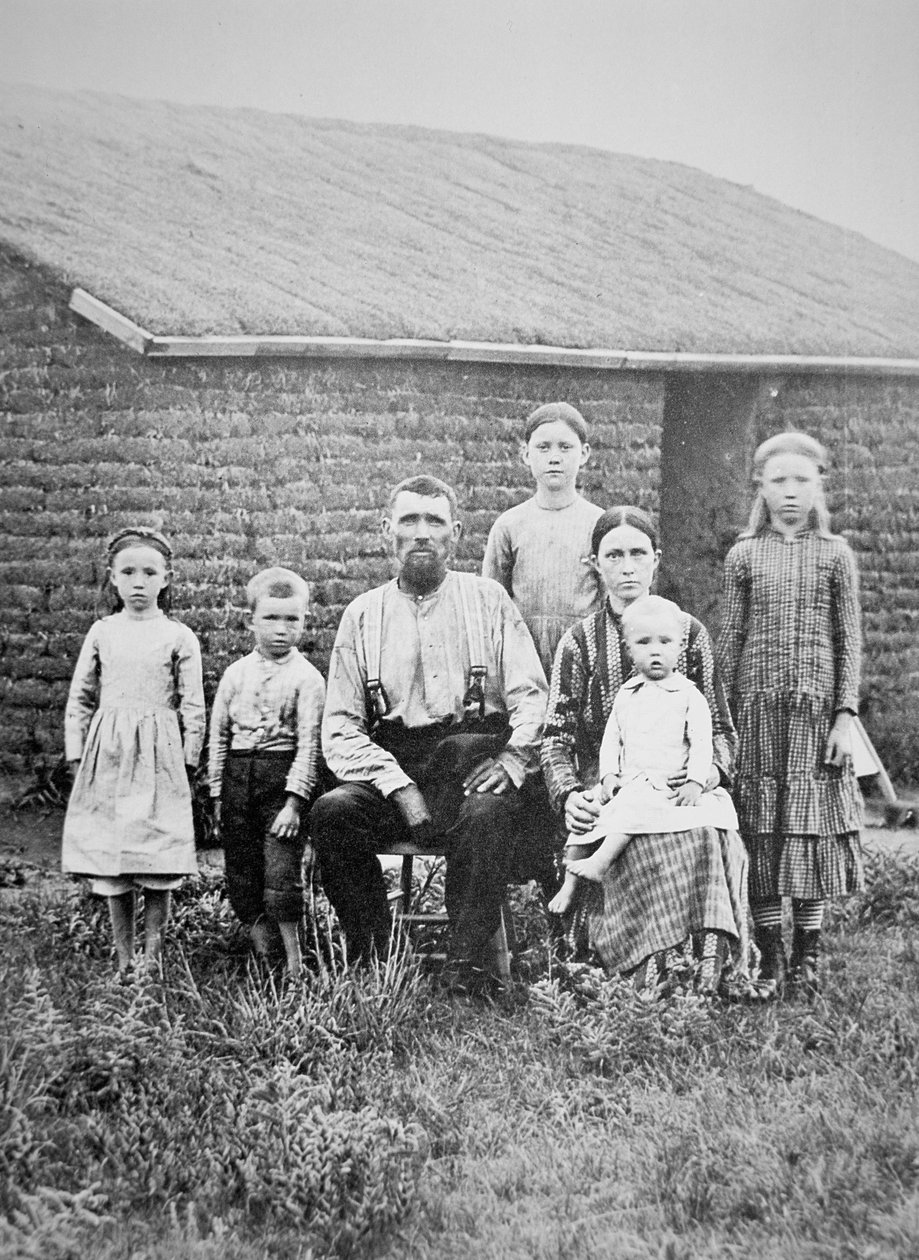 Família americana pioneira, c.1870 (foto a p/b) de American Photographer