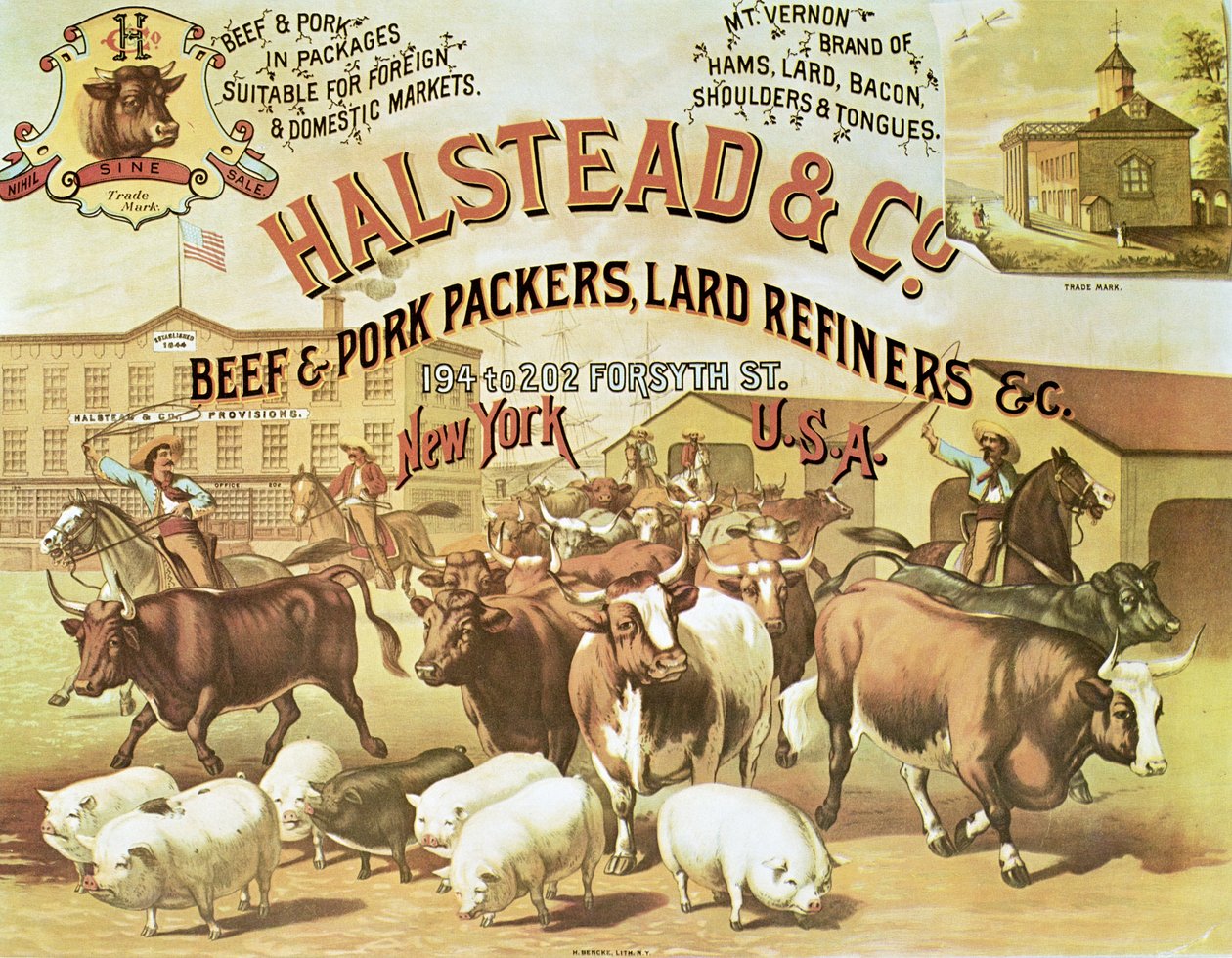 Beef & Pork Packers, c.1880 (cor litho) de American Photographer