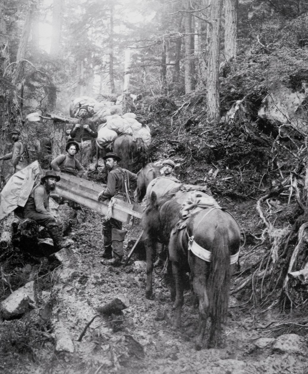 Subindo a Trilha Dyea a caminho do Passo de Chilkoot durante a Corrida do Ouro Klondike (1897-98) (foto a p/b) de American Photographer