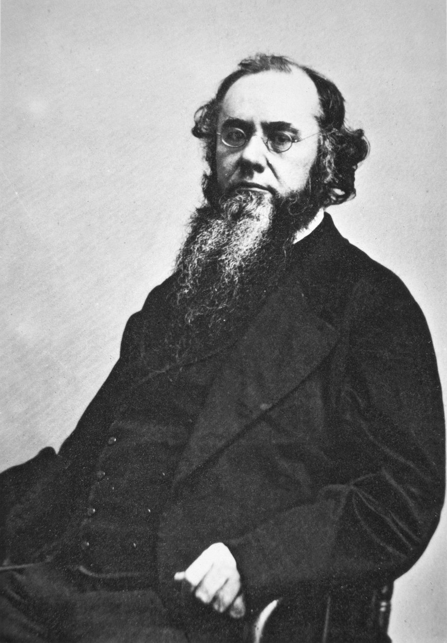 Edwin M. Stanton (1814-69) (foto a p/b) de American Photographer