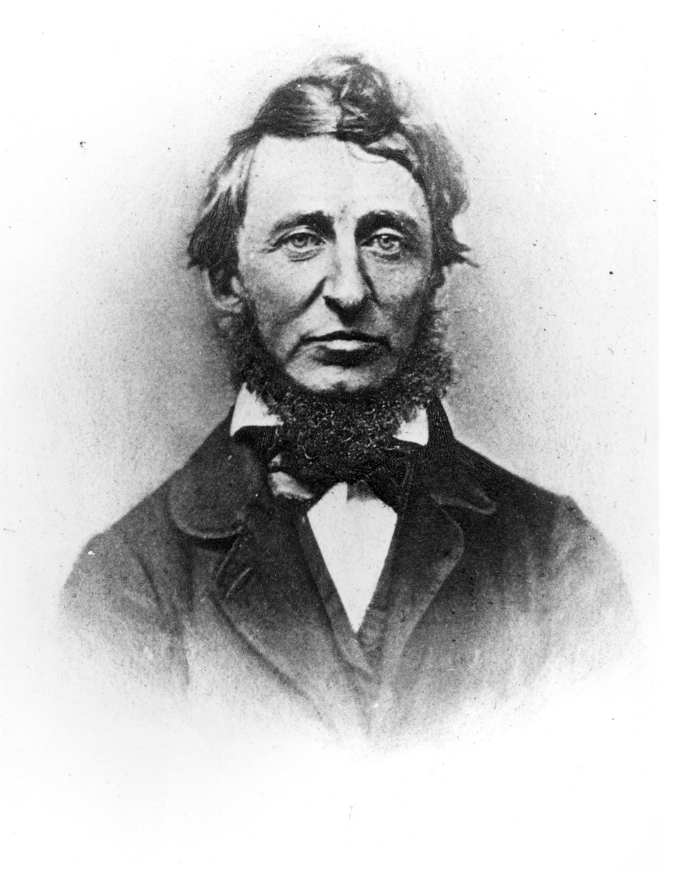 Henry Thoreau (1817-1862) de American Photographer
