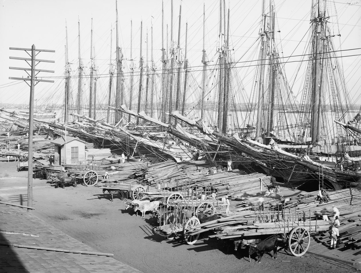 Muelle Tallapiedras, Havana, c.1904 (foto a p/b) de American Photographer