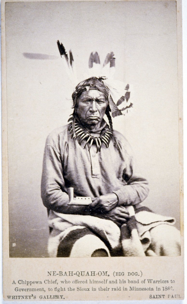 NE-BAH-QUAH-OM,Big Dog, Chefe Chippewa, ofereceu-se para lutar contra Sioux no Minnesota de American Photographer