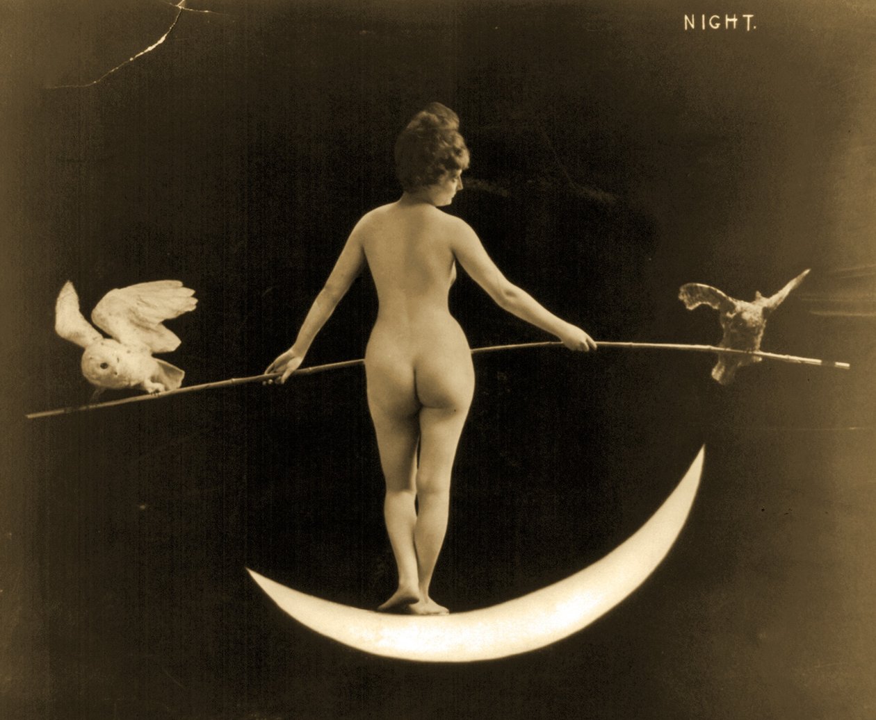 Noite, c.1895 de American Photographer
