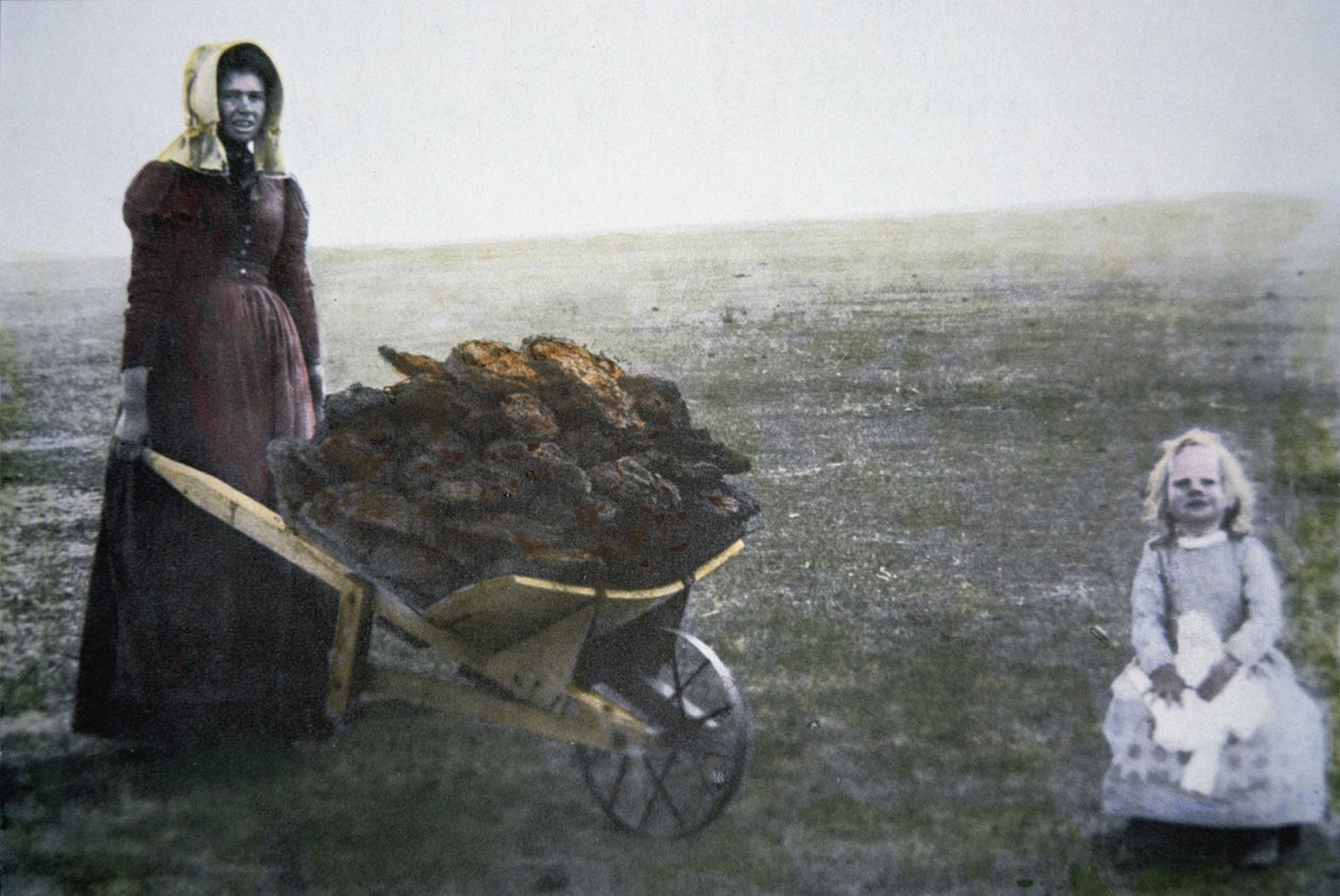 Mulher pioneira coletando esterco de gado, Kansas, c.1880 (foto colorida) de American Photographer