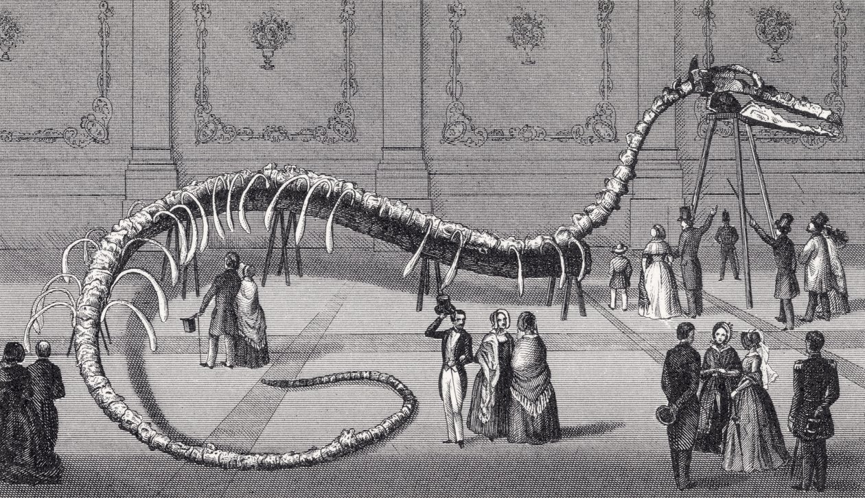 Esqueleto de 114 pés de comprimento da serpente marinha falsa &39;Hydrarchos harlani&39;, c.1845 de American School