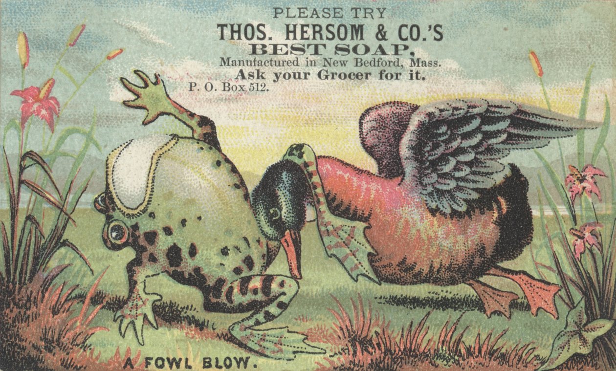 Um golpe de galinha, propaganda para Thos. Hersom & Cos Melhor Sabão, c.1880 de American School