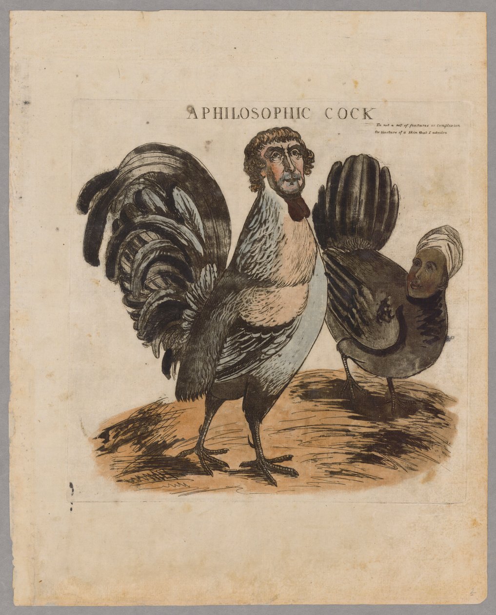 Um galo filosófico, 1804 de American School