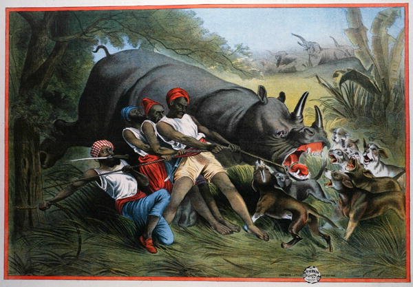 Uma caça ao rinoceronte (chromolitho) de American School