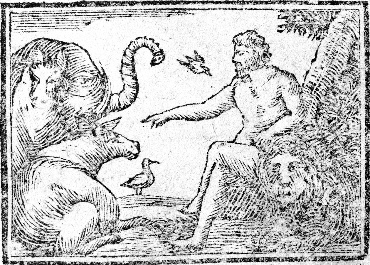 Adam nomeando os animais, ilustração de um resumo da história da Bíblia Sagrada, publicado em 1794 de American School
