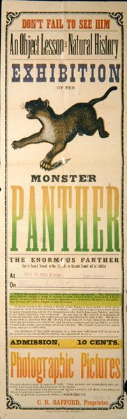 Anúncio para a exposição do Pantera Monstruosa de American School
