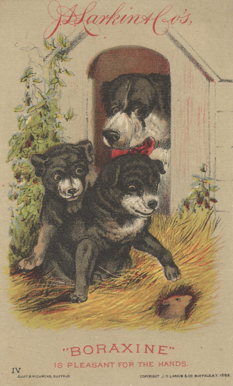 Propaganda para JD Larkin & Cos Boraxine, 1882 de American School