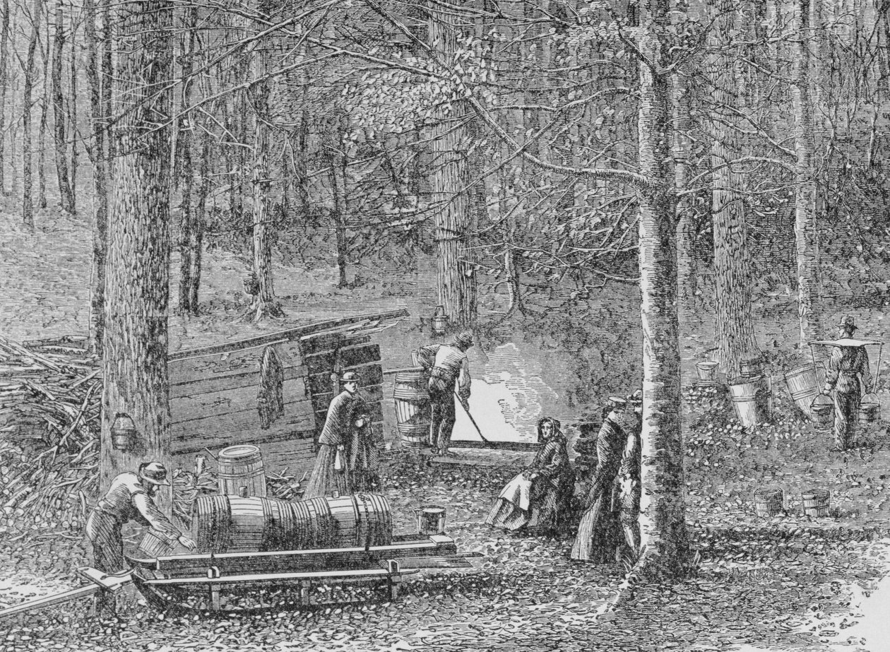 No Maple Syrup Camp, ilustração de &39;Harper&39;s Weekly&39;, 1867, de &39;The Pageant of America, Vol.3&39;, de Ralph Henry Gabriel, 1926 de American School