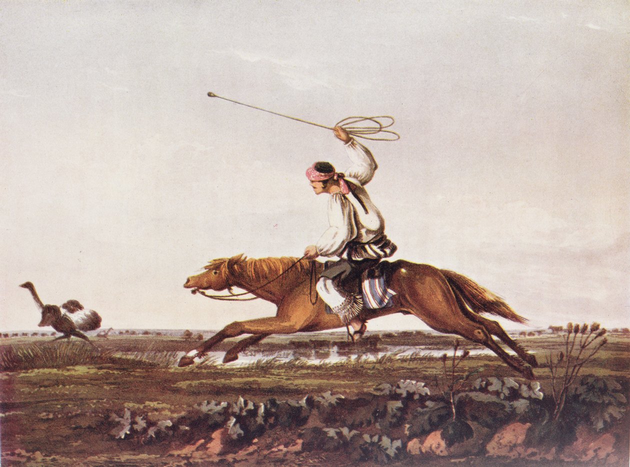 Avestruzes de bala, reproduzidas a partir das “Ilustrações pitorescas de Buenos Aires e Montevidéu” de Vidal, de “O Romance do Rio da Prata”, vol. Eu, por WH Koebel, 1914 de American School