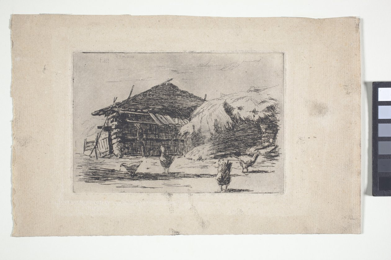 Barnyard (tinta) de American School