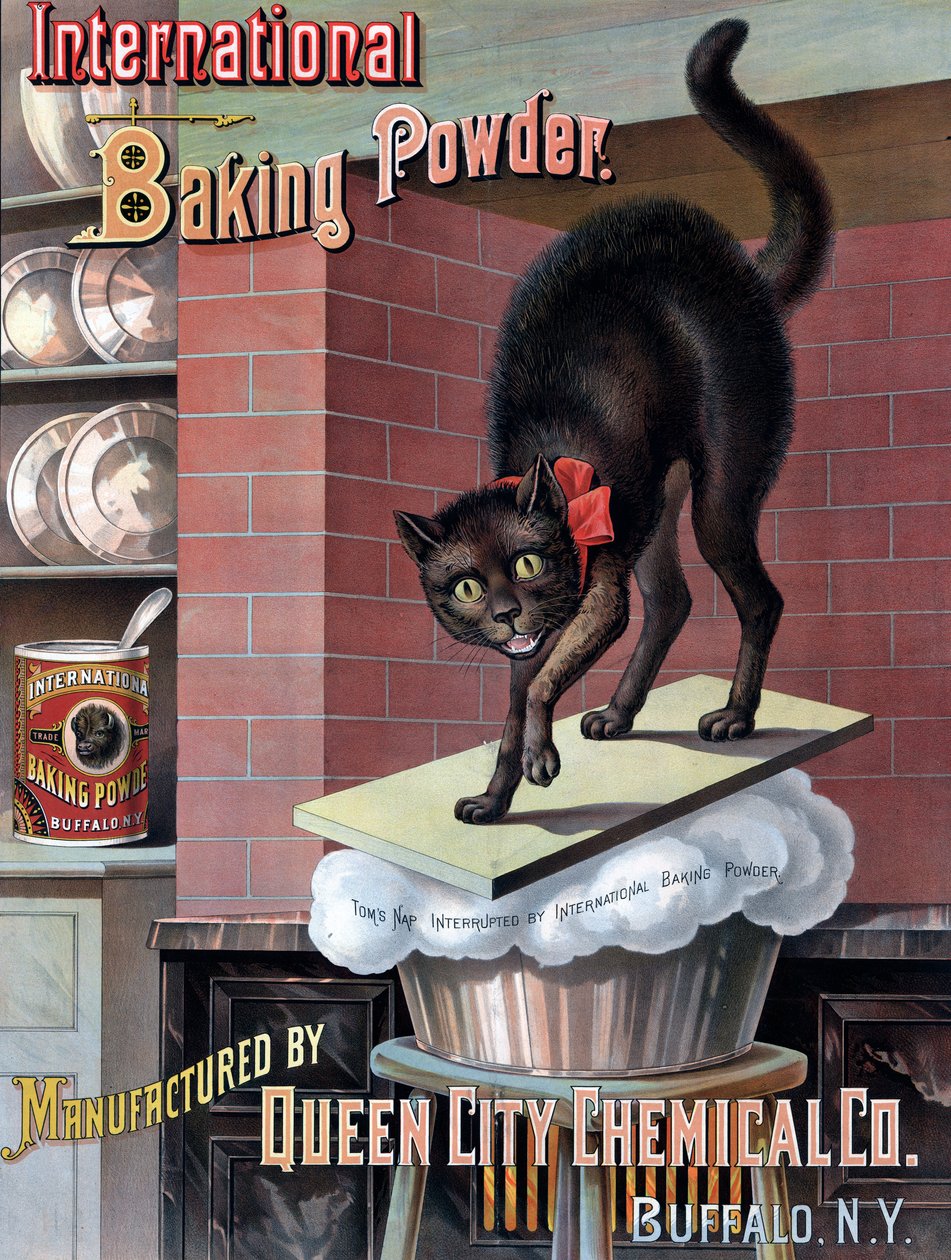 Gato preto despertado pela massa de pão a crescer, c.1885 (cromolitografia) de American School