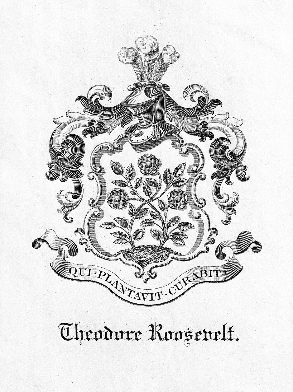Folheto do Presidente Theodore Roosevelt (1858-1919) (impressão) de American School
