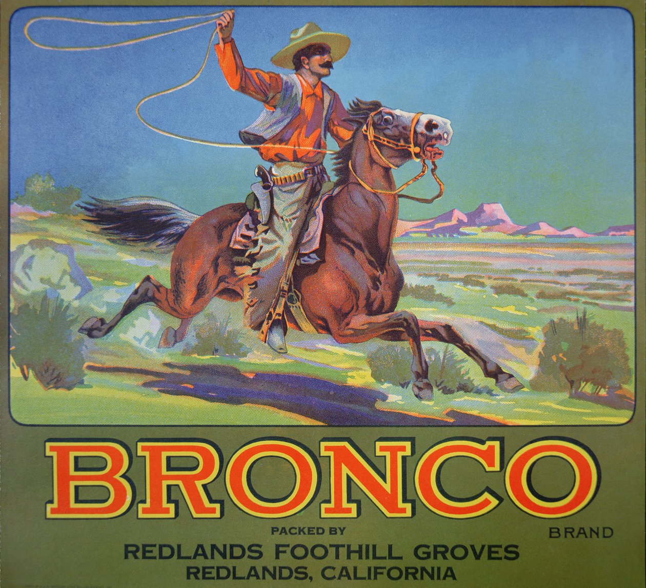 Bronco Oranges