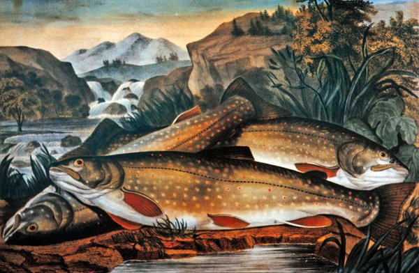 Brook Trout- Just Caught, publicado por Currier & Ives, c.1870 (cor litho) de American School